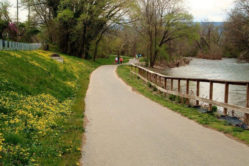 A paved path alongside a river with a wooden railing, surrounded by greenery and yellow flowers. 2