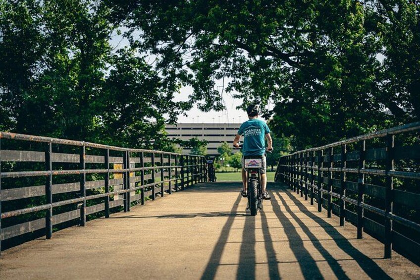 A person riding a bicycle on a bridge with metal railings and trees in the background. 1