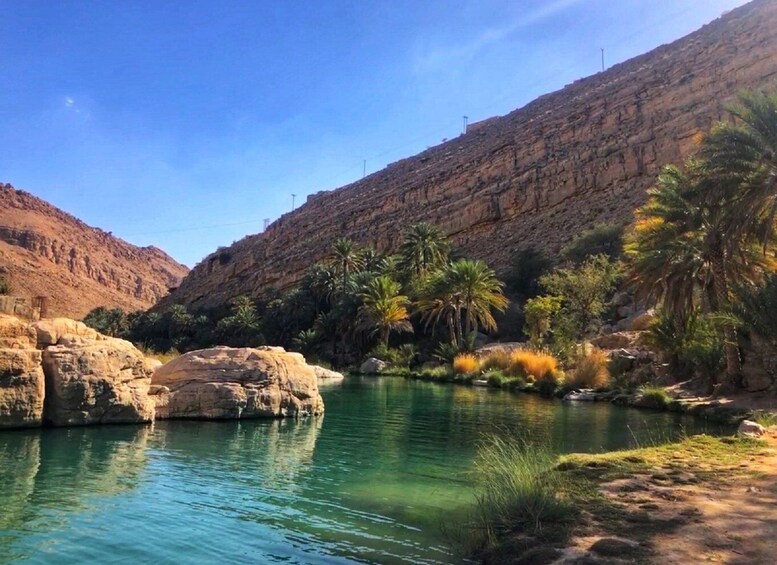 A river flowing through a canyon with rocky cliffs and palm trees. 3
