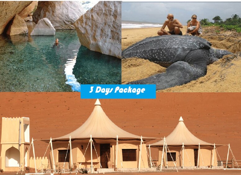 A desert landscape with tents, a person swimming in a natural pool, and a large turtle on the beach. 1