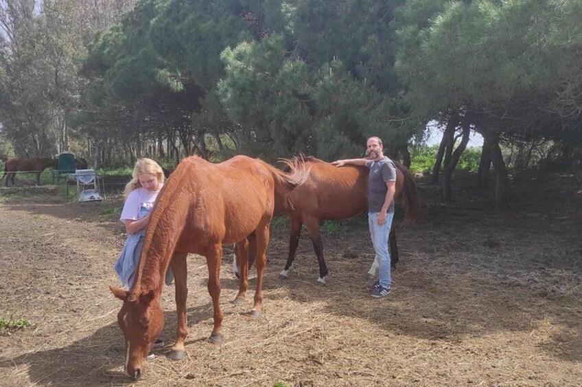 Meditation Activity: Mindfulness with Horses in Zahora 1