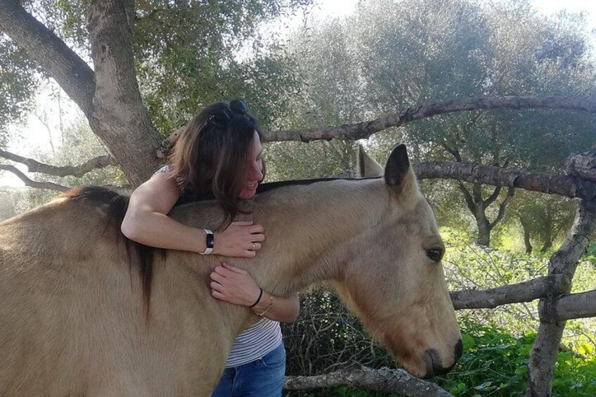 Meditation Activity: Mindfulness with Horses in Zahora 2