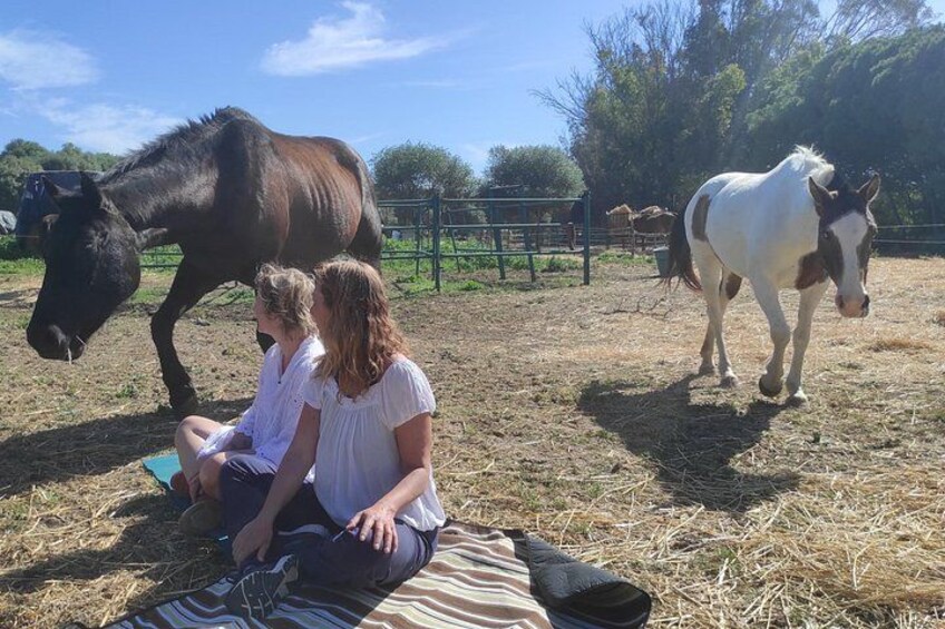 Meditation Activity: Mindfulness with Horses in Zahora 3
