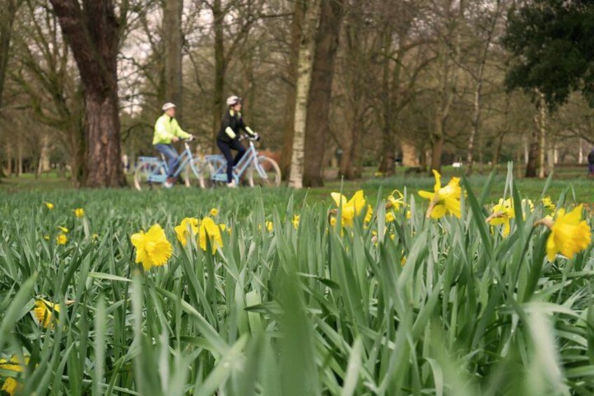 Guided Cycle Tours of Cardiff 1