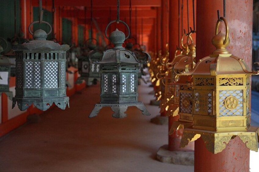 Nara Early Morning Tour Kyoto or Osaka Departure Available 2