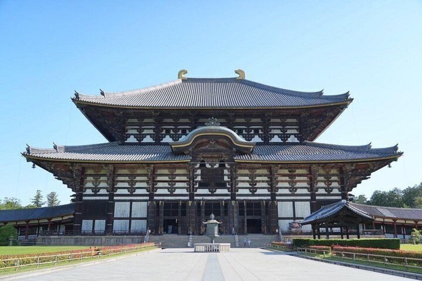 Nara Early Morning Tour Kyoto or Osaka Departure Available 4