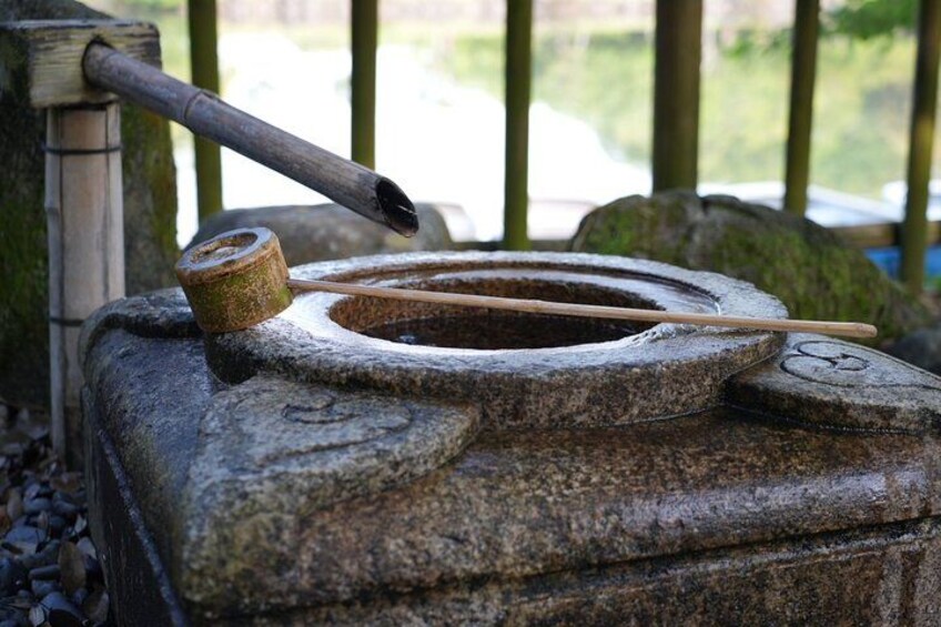 Nara Early Morning Tour Kyoto or Osaka Departure Available 5