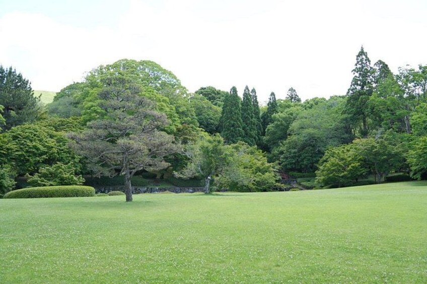 Nara Early Morning Tour Kyoto or Osaka Departure Available 5