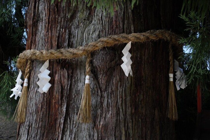 Une guirlande décorative faite de corde, ornée de pompons blancs, et des décorations en papier suspendues à un arbre. 2