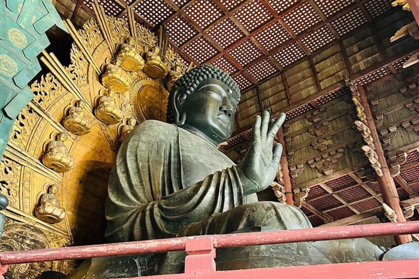 Nara Early Morning Tour Kyoto or Osaka Departure Available 5