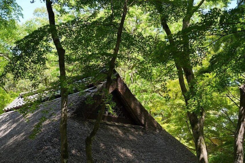 Nara Early Morning Tour Kyoto or Osaka Departure Available 2