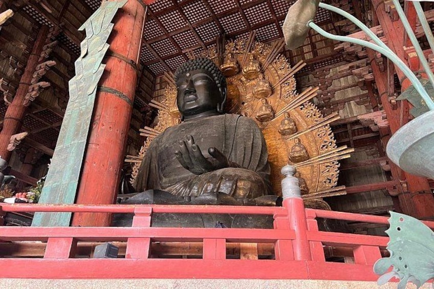 Nara Early Morning Tour Kyoto or Osaka Departure Available 4