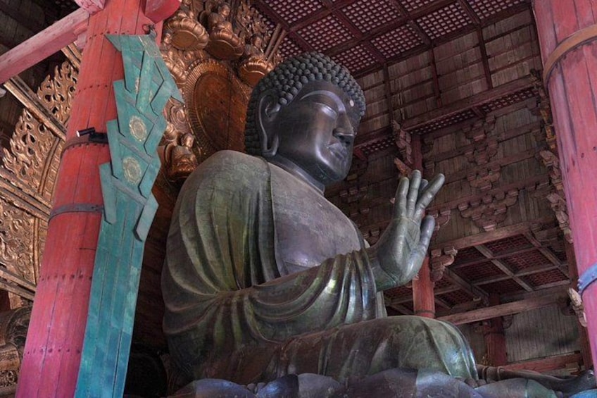 Nara Early Morning Tour Kyoto or Osaka Departure Available 4