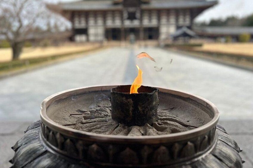 Nara Early Morning Tour Kyoto or Osaka Departure Available 2