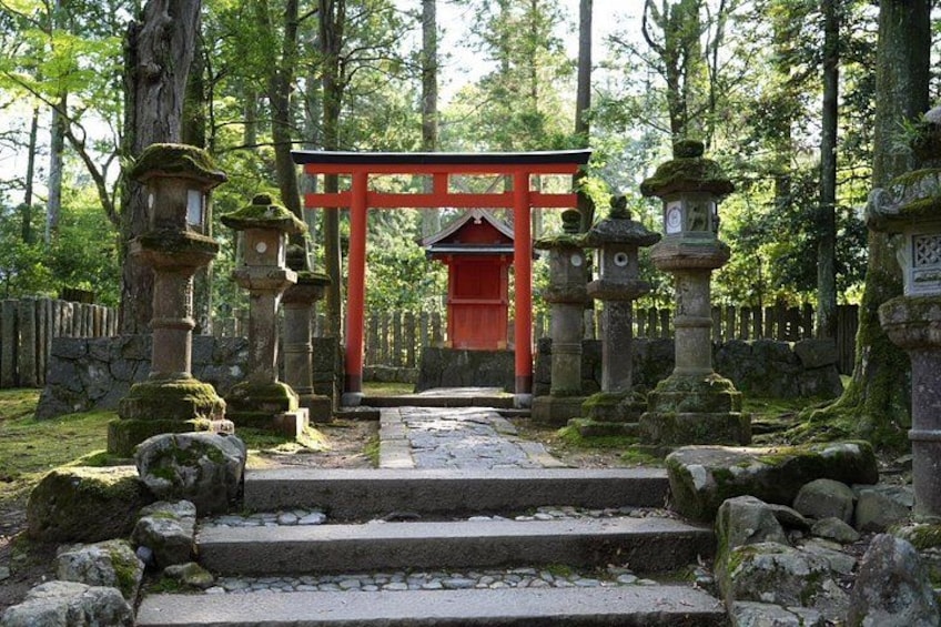 Nara Early Morning Tour Kyoto or Osaka Departure Available 3