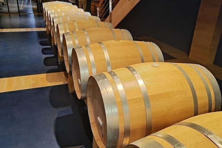 Marques de Riscal and Ysios Rioja Wine Tour and Lunch from Bilbao 2