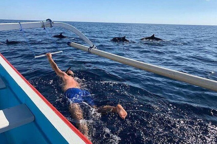 Lovina Dolphin Tour, Swimming with Dolphin and Snorkeling 5