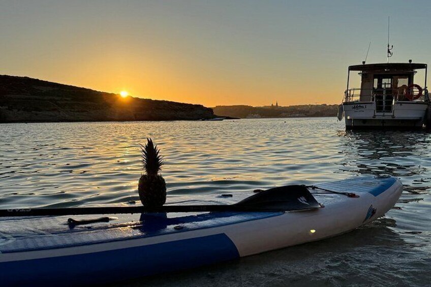 Malta: Private Boat Trip & Cruises Comino, Blue Lagoon, Gozo 4