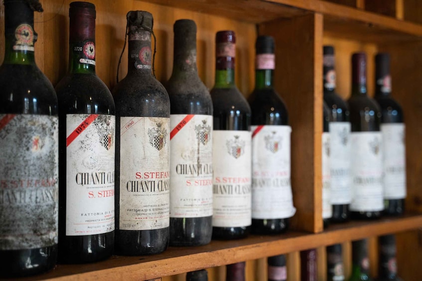Picture 2 for Activity Chianti: Wine and Olive Oil Tasting with Cellar Tour 5