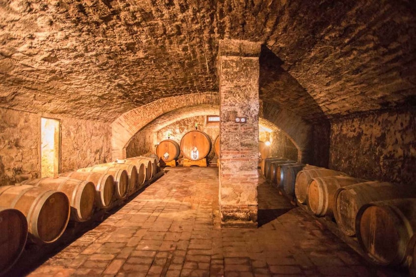 Picture 1 for Activity Chianti: Wine and Olive Oil Tasting with Cellar Tour 2