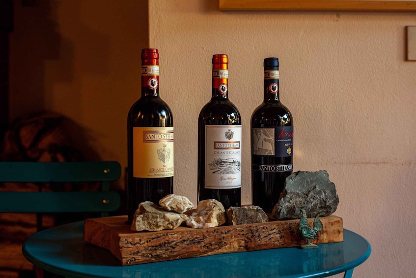 Picture 6 for Activity Chianti: Wine and Olive Oil Tasting with Cellar Tour 4