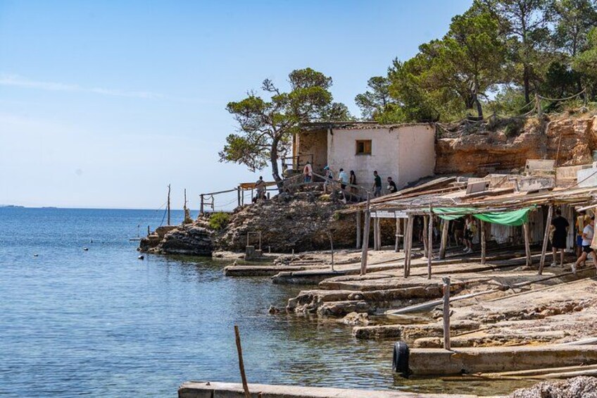 Safari Beach Tour Ibiza (Shared) 2