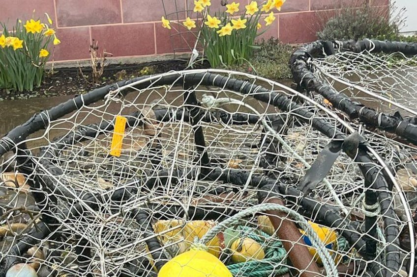 A pond with a netted enclosure, surrounded by flowers and a brick wall. 3