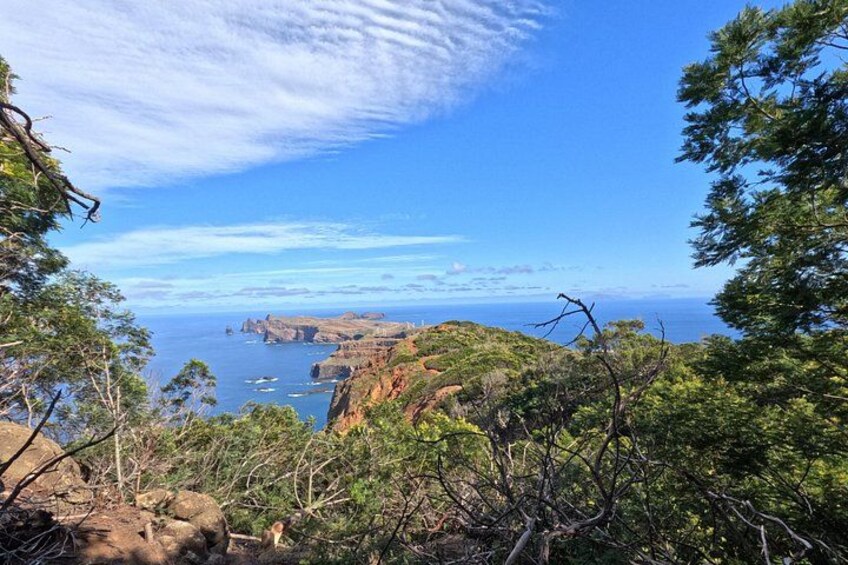 Half Day of Secrets: Madeira 4x4 Private Tour 5