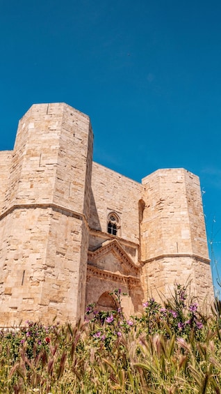 A historic stone castle with arched windows and a central entrance. 2