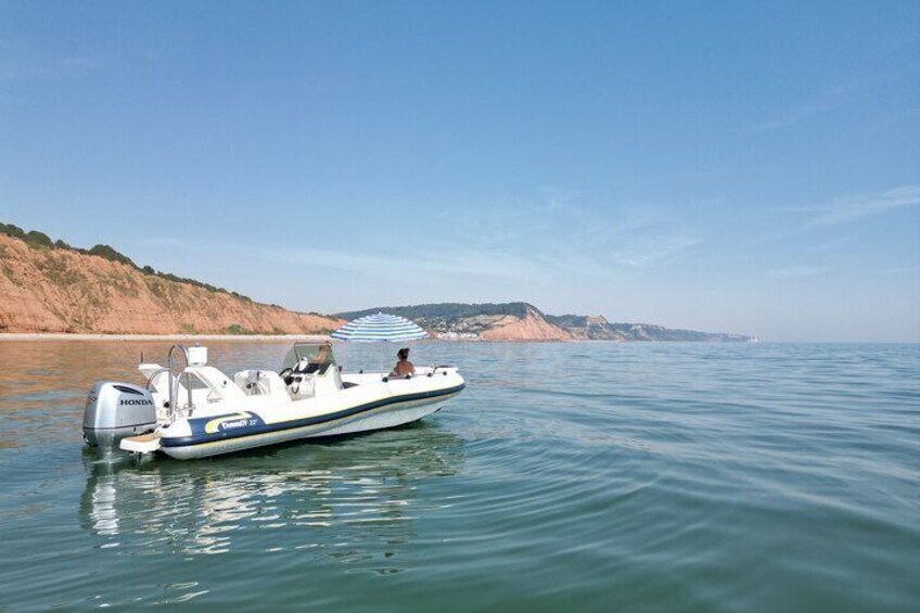 Luxury Private Rib Tour to Babbacombe Bay