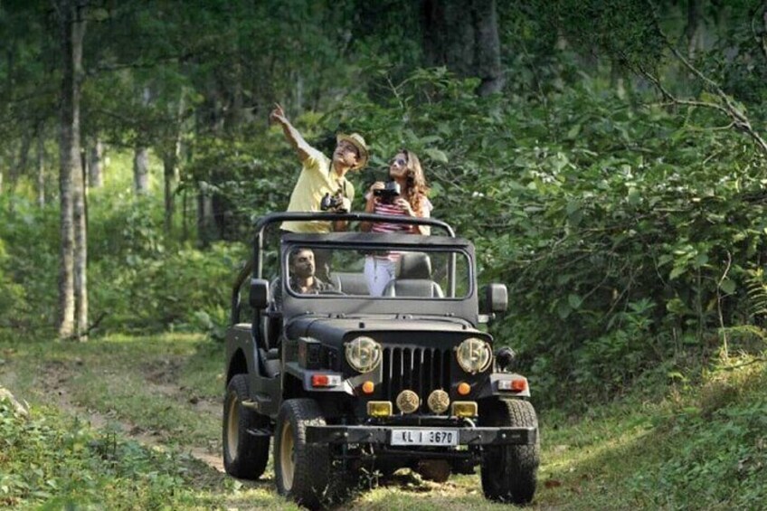 www.chuttibaaz.com - thekkady jeep safari