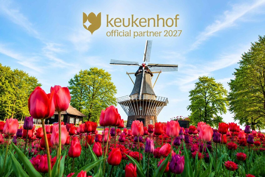 A windmill, tulips, and a clear sky. 2