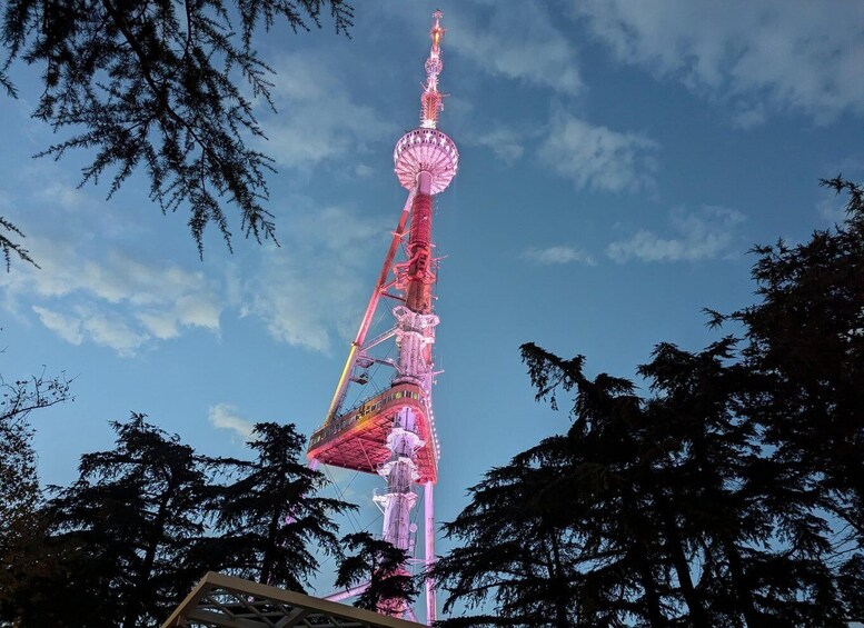Picture 37 for Activity Tbilisi:Diamond Bridge, Dashbashi, Zoo & Mtatsminda Views 5