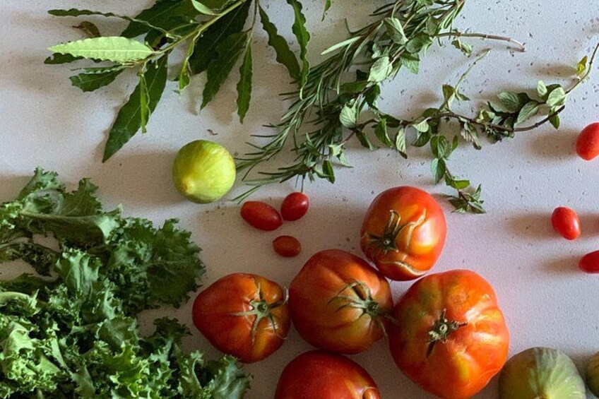 Private Gastronomy Tour at the Farmers Market 2