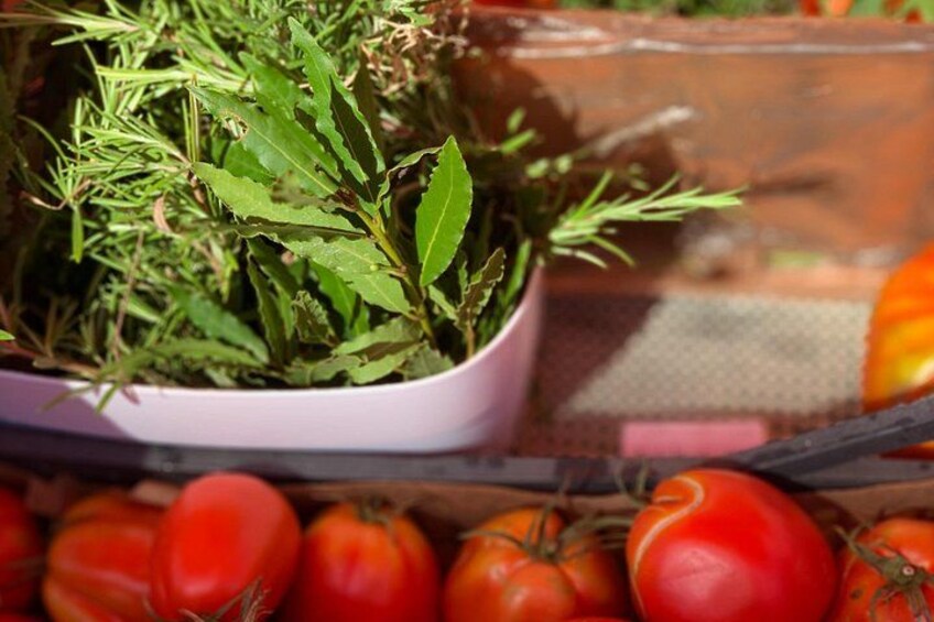 Private Gastronomy Tour at the Farmers Market 2