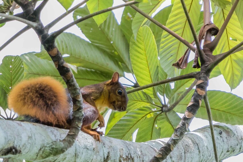 Picture 32 for Activity 360° Day Tour Jungle Tour Expedition Amazonia Ecuador 3