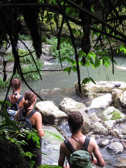 Picture 20 for Activity 360° Day Tour Jungle Tour Expedition Amazonia Ecuador 5