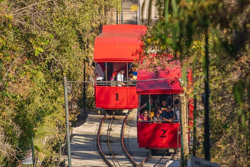 Picture 6 for Activity Discover Santiago: Hop On Bus, Cerro San Cristóbal & Wine 2