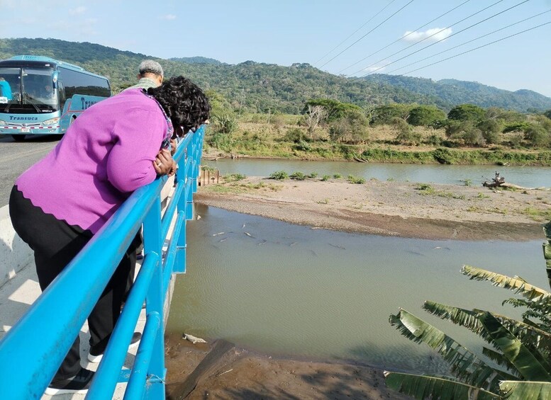 A person leaning on a blue railing overlooking a river with a bus in the background and hills in the distance. 5