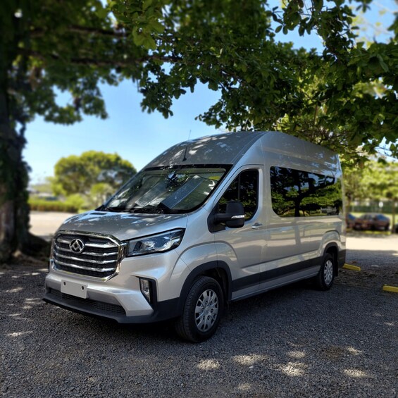 A silver van parked under a tree. 4