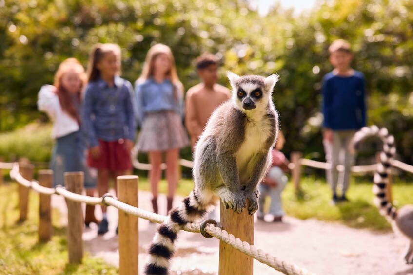 Picture 5 for Activity Leewarden: AquaZoo Entry Ticket 4