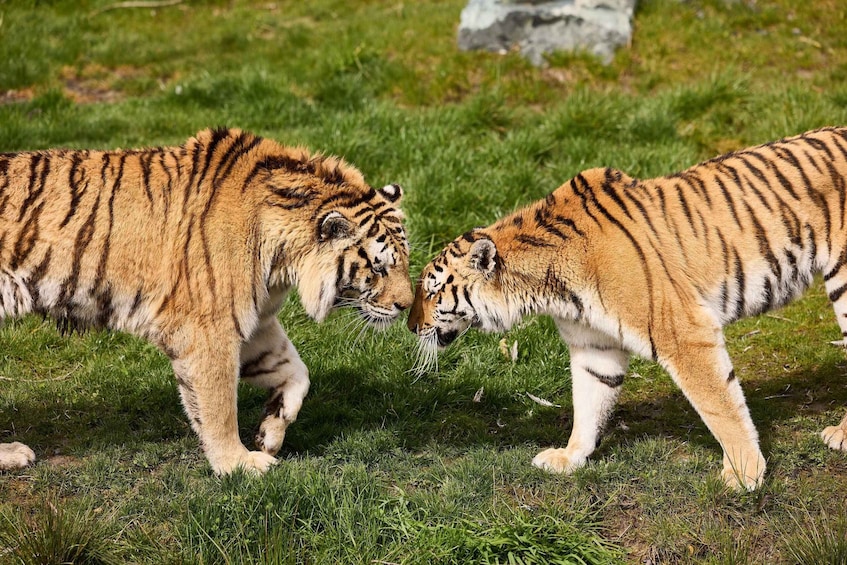 Picture 3 for Activity Leewarden: AquaZoo Entry Ticket 3