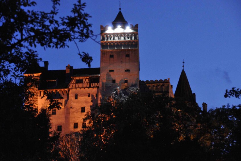 Een kasteel met een opvallende toren en puntige torentjes, omringd door bomen. 5