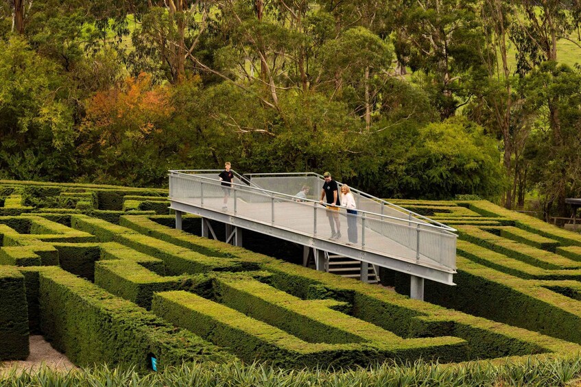 Picture 7 for Activity Mornington Peninsula: Enchanted Adventure General Admission 5