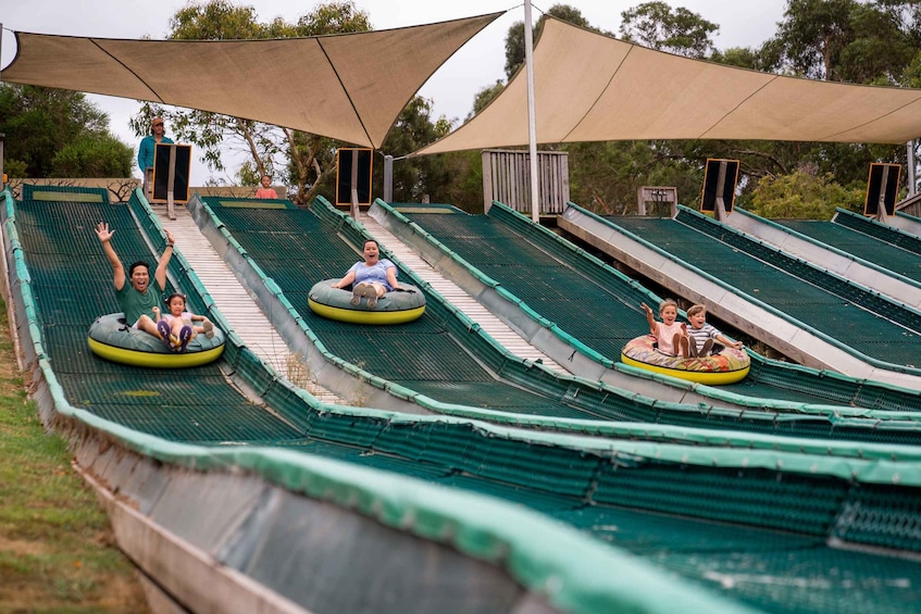 Picture 6 for Activity Mornington Peninsula: Enchanted Adventure General Admission 4