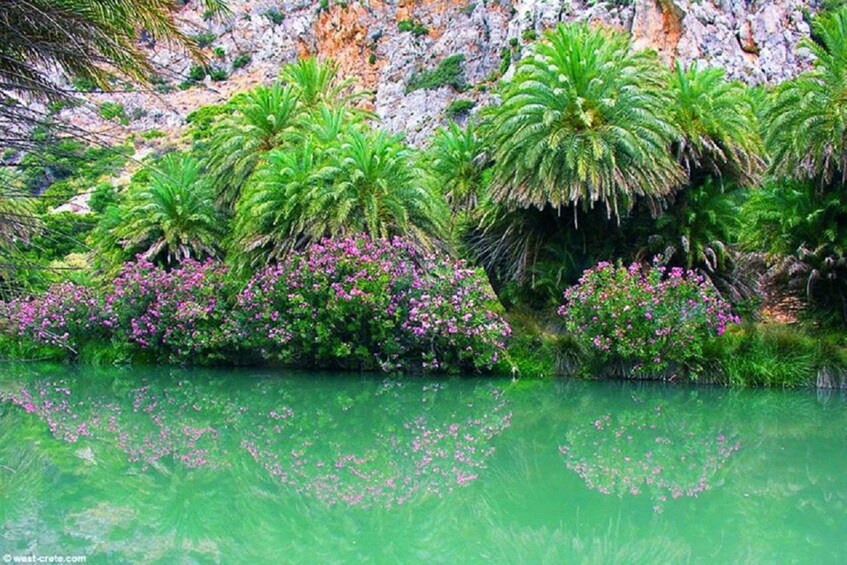 A clear water body with greenish tint, surrounded by lush greenery and pink flowers. 3