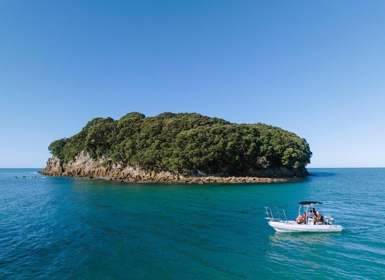 A small island surrounded by clear blue water with a boat near the shore. 2