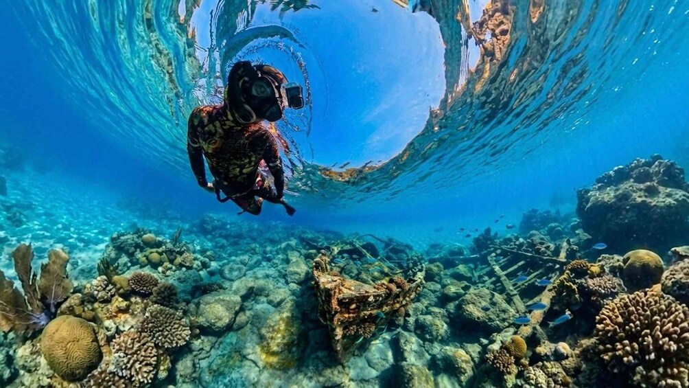 Un buceador explora un arrecife submarino vibrante con agua cristalina y abundante vida marina. 5