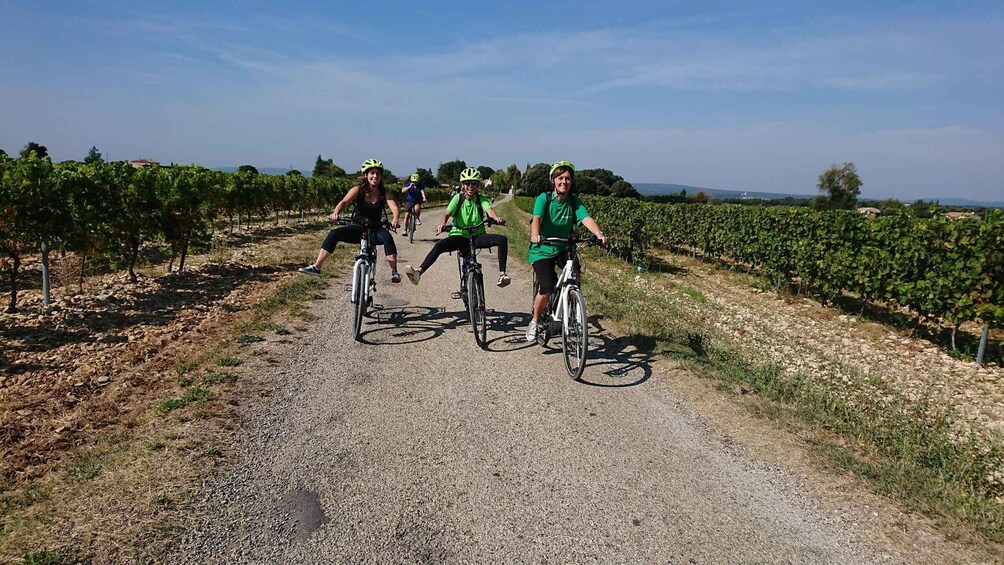Three people riding bicycles on a gravel path in a vineyard. 2