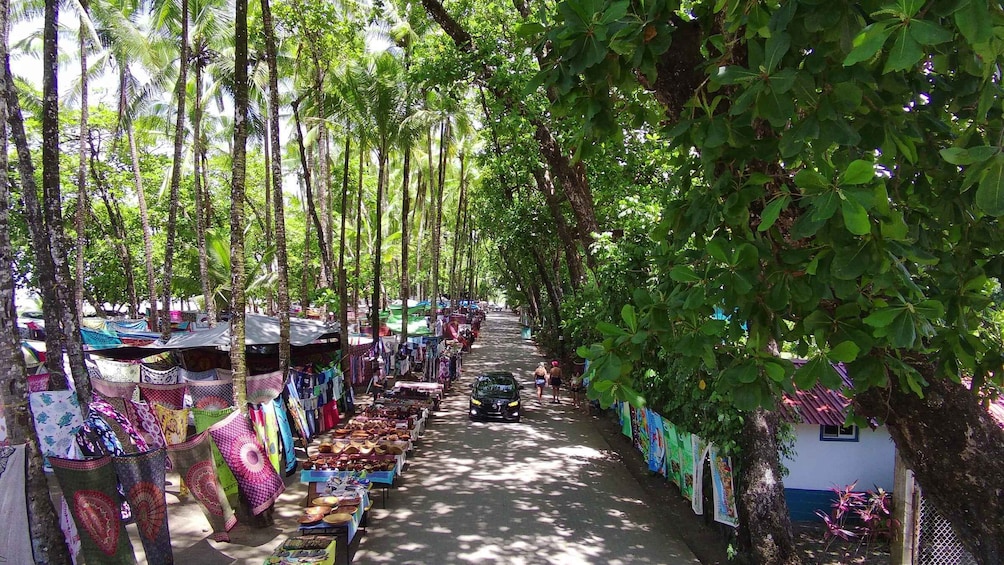 Picture 5 for Activity Manuel Antonio: Nauyaca Waterfalls All Inclusive Full Day 2